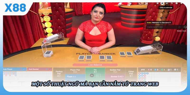 Một số thuật ngữ mà bạn cần nắm từ trang web